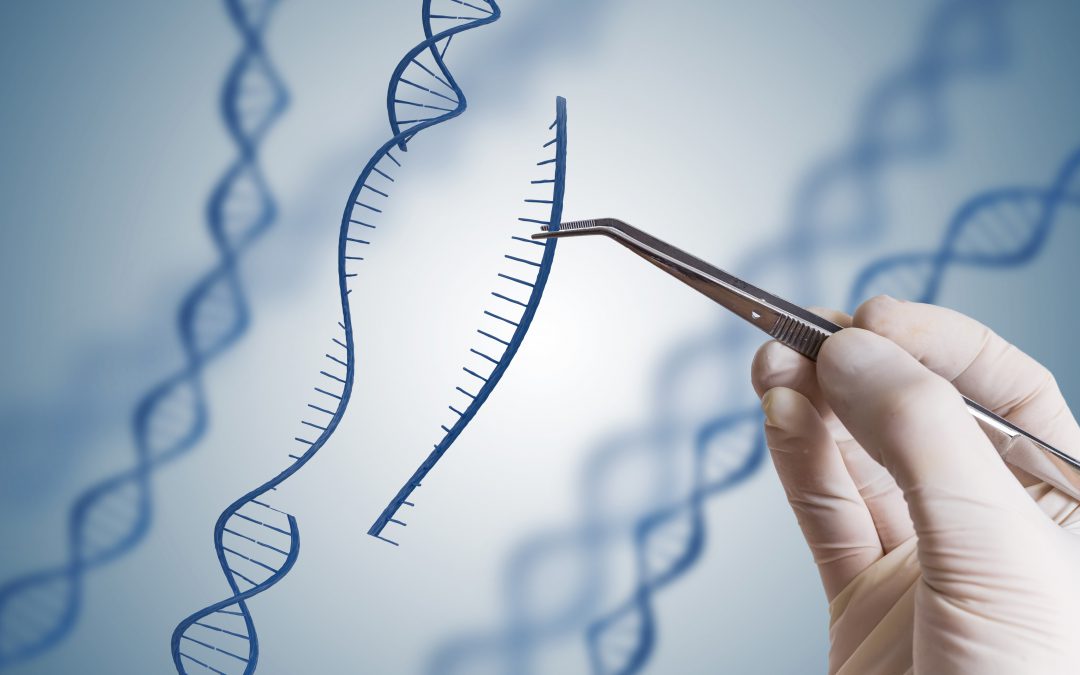 ¿Qué es la tecnología CRISPR y cómo está ayudando en la lucha contra el cáncer?