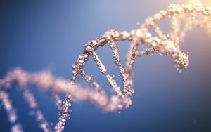 El cáncer hereditario