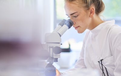 Ayudas a Grupos Coordinados Aceleradores: La importancia de la investigación internacional
